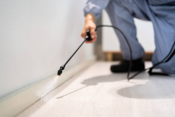 Bed Bug Pre-Treatment Preparation Assessment in Hawthorne