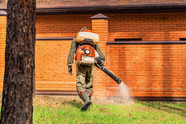 Bed Bug Clearance Verification and Documentation in Hawthorne